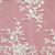 TLL2682C Ivory Embroidered Lace