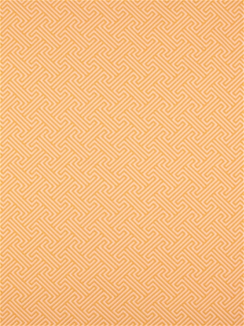 Transom Sunshine Barrow Fabric 