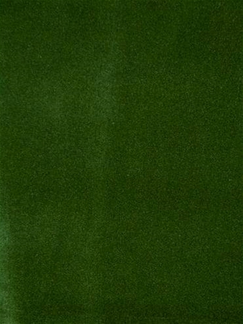 Taboo Forest Green Velvet