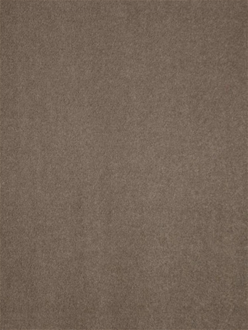 Taboo Sable Velvet