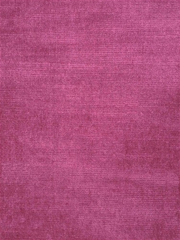 Temptation Magenta Velvet