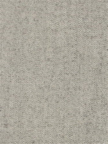 Terrasol Canvas Cloud Tempo Fabric 