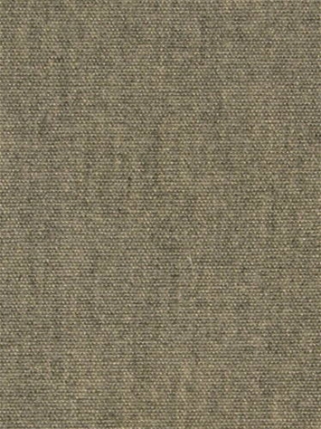 Terrasol Canvas Fossil Tempo Fabric 