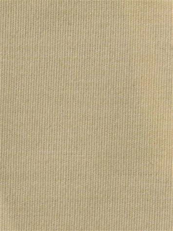 Terrasol Canvas Ivory Tempo Fabric 