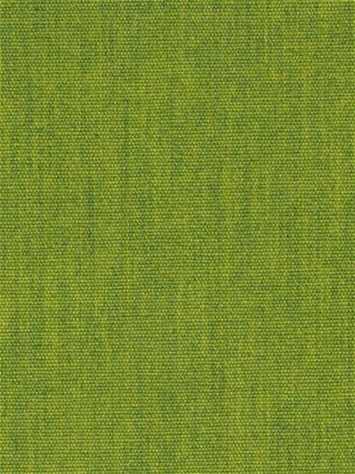 Terrasol Canvas Lime Tempo Fabric 