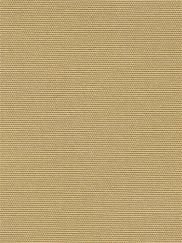 Terrasol Canvas Sand Tempo Fabric 