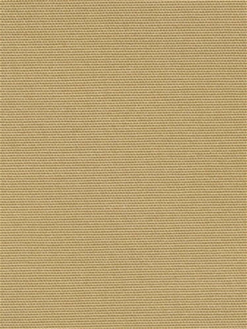 Terrasol Canvas Sand Tempo Fabric 