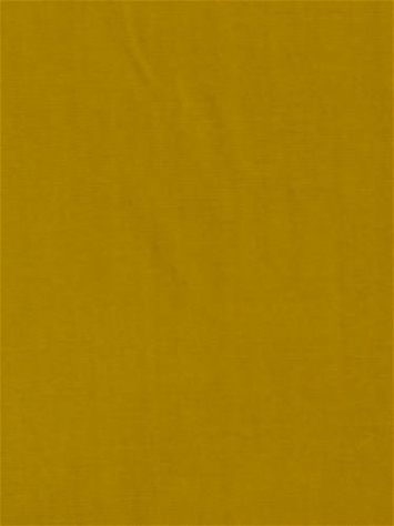 Terrasol Canvas Yellow Tempo Fabric 