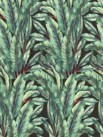 Terrasol Frond Midnight Tempo Fabric