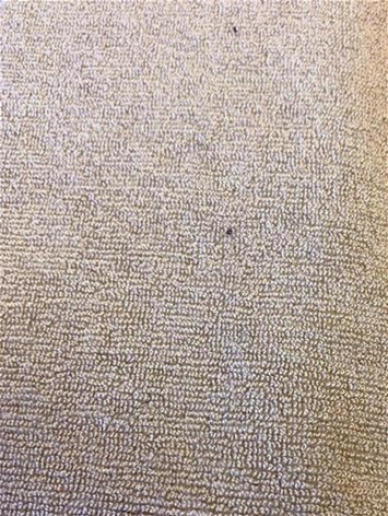 Sunbrella Terry Antique Beige