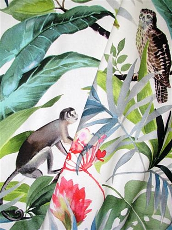 Tropical Island Monkey Jungle