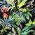 Tropical Midnight P. Kaufmann