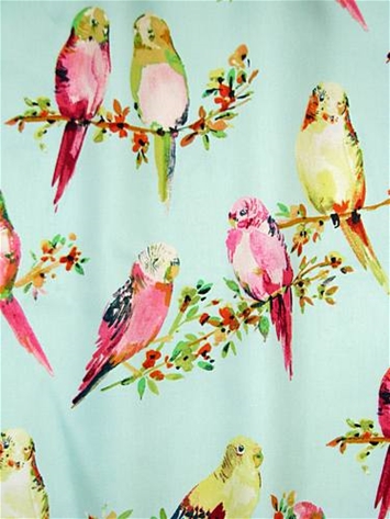 Tweety 513 Eggshell Blue