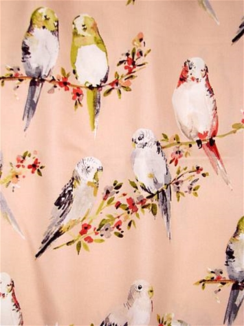 Tweety 7 Blush