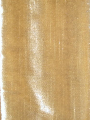 Velluto 81 Golden Velvet