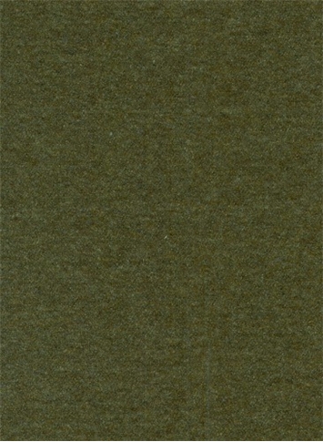 Flanders Moss