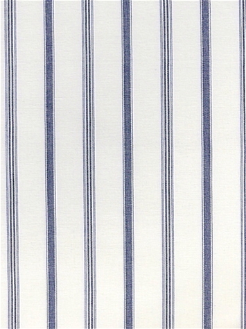 Vineyard Stripe Denim