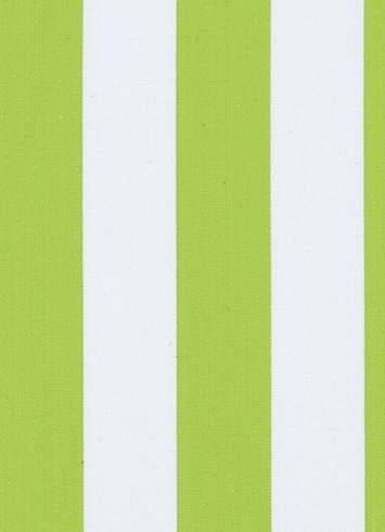 Wave Runner 282 Lime