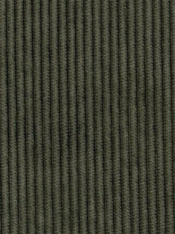 Wales Moss 412029 PK Lifestyles Fabric