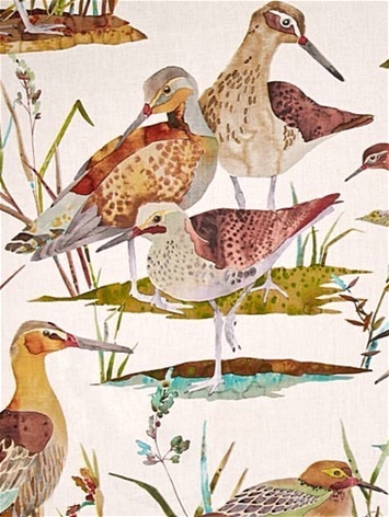 Waterfowl Autumn