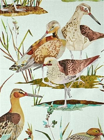 Waterfowl Spring