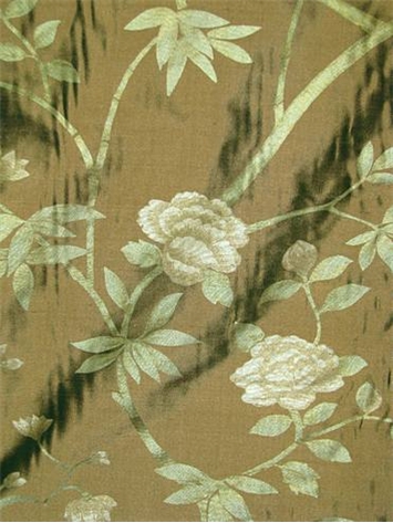 Wild Rose Willow