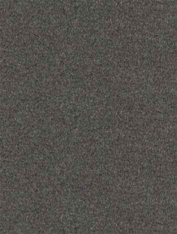 Woolworth Charcoal