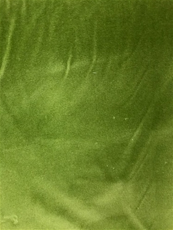 Wrinkle Taboo Kale Velvet