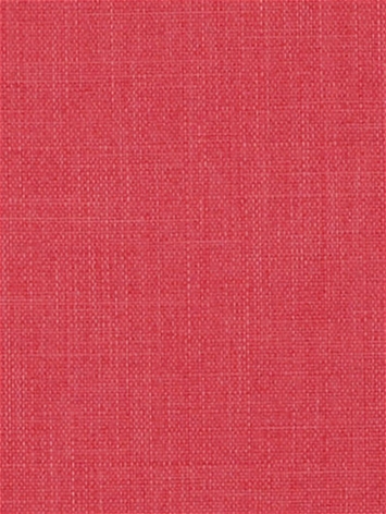 York 350 Watermelon