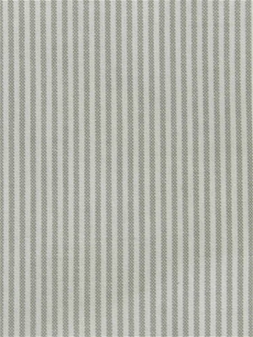 Baldwin Asphalt P. Kaufmann Ticking Fabric 