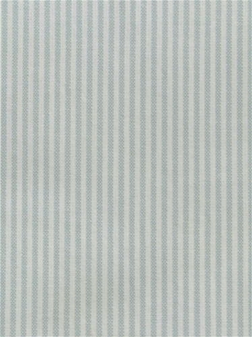 Baldwin Frost P. Kaufmann Ticking Fabric 