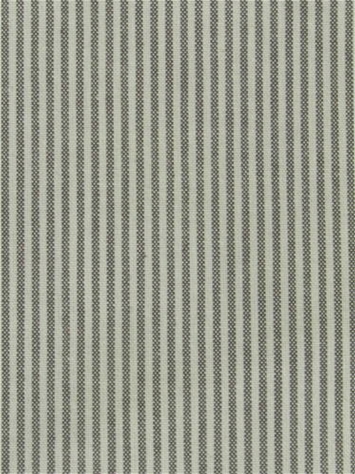 Baldwin Gravel P. Kaufmann Ticking Fabric 