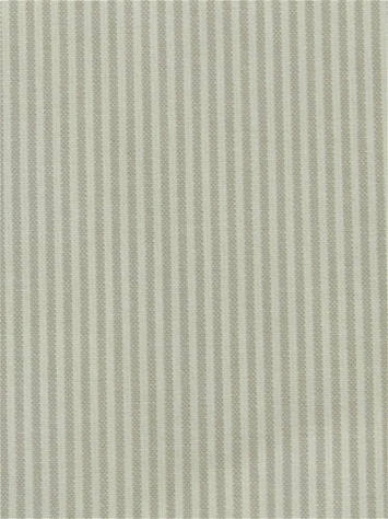 Baldwin Macadamia P. Kaufmann Ticking Fabric