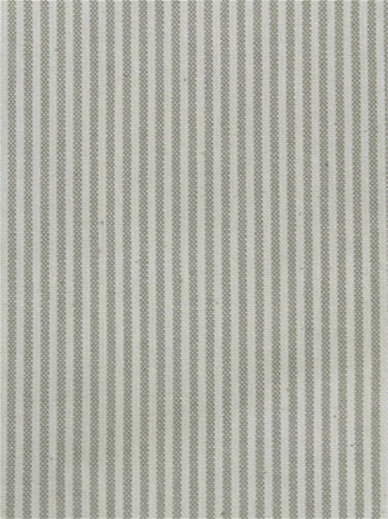 Baldwin Titanium P. Kaufmann Ticking Fabric 