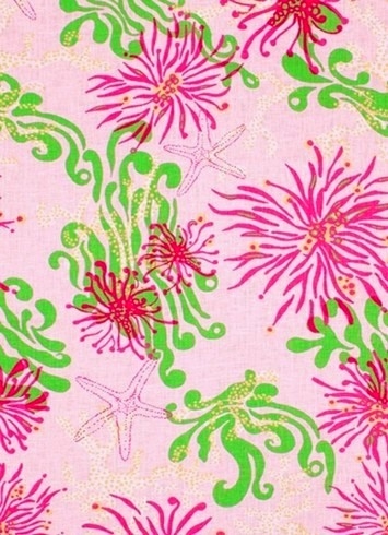 Bimini Lilly Pink