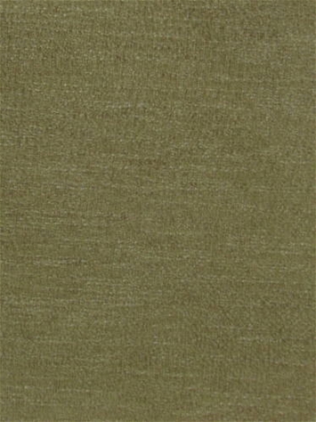 Brodex Camel Swavelle Fabric 
