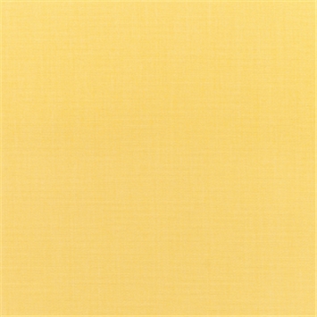 Canvas Buttercup - DO NOT USE