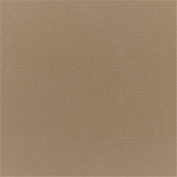 Canvas Camel