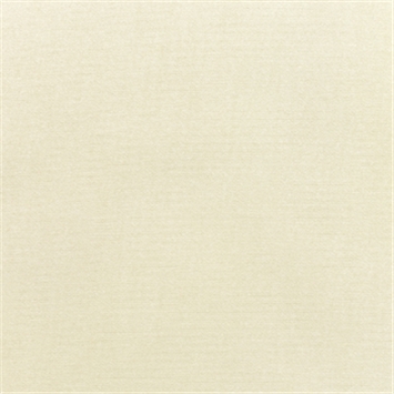 Canvas Canvas