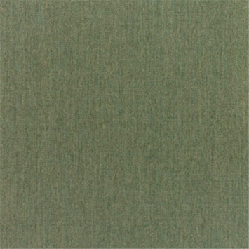 Canvas Fern