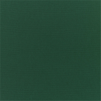 Canvas Forest Green - Do not use