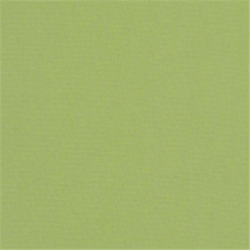 Canvas Ginko 54011-0000 Sunbrella Fabric