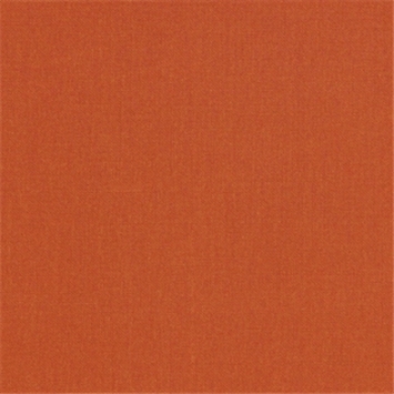 Canvas Rust
