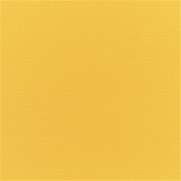 Canvas Sunflower Yellow