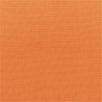 Canvas Tangerine