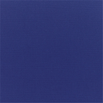 Canvas True Blue