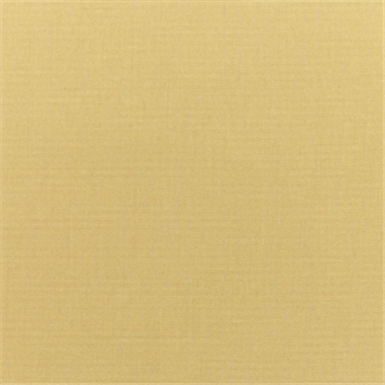 Canvas Wheat