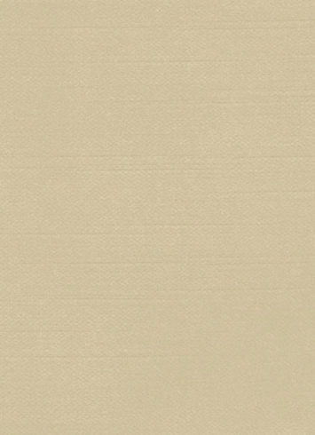 Gibson Eggshell