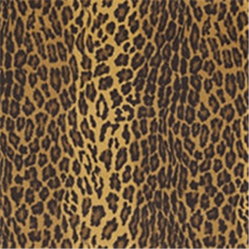 Greystroke Leopard Serengeti