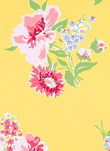Madcap Cottage Isleboro Eve Daffodil